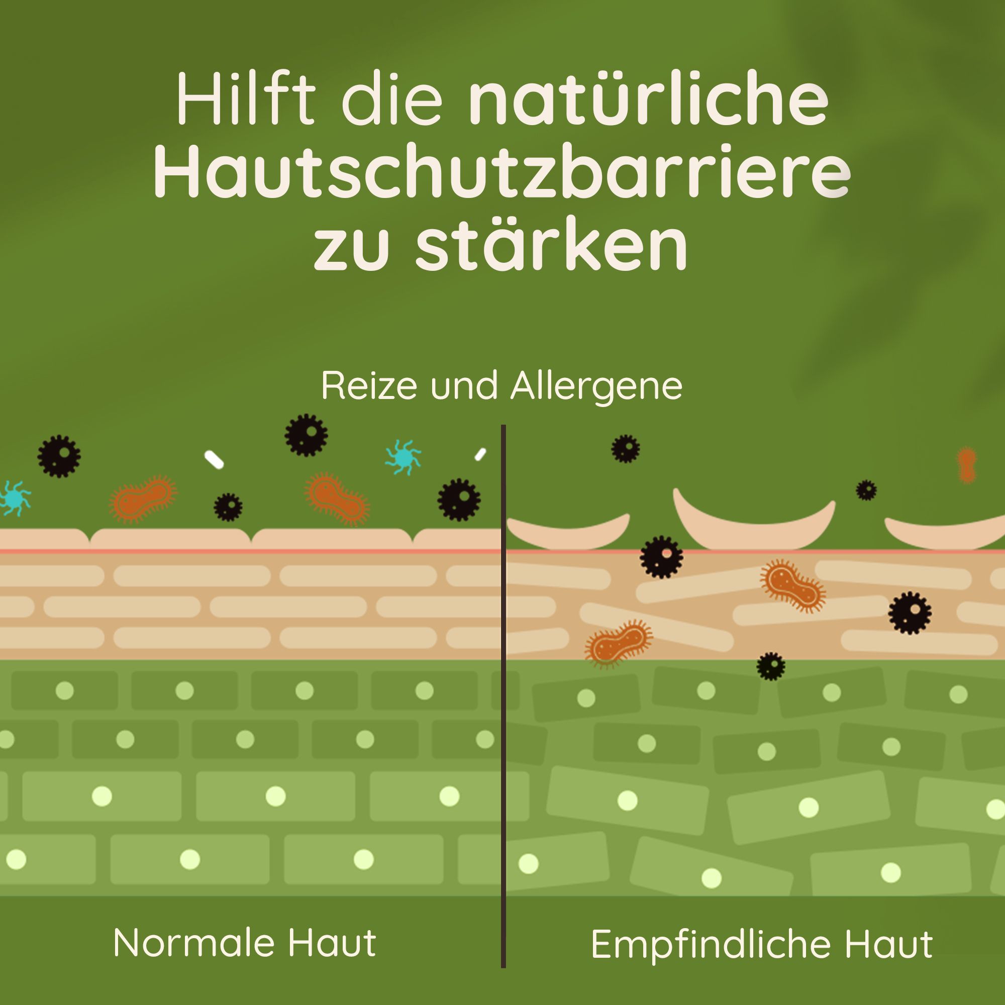 Grafico: barriera cutanea. Testo: Aiuta a rafforzare la barriera cutanea naturale. Pelli normali e sensibili.