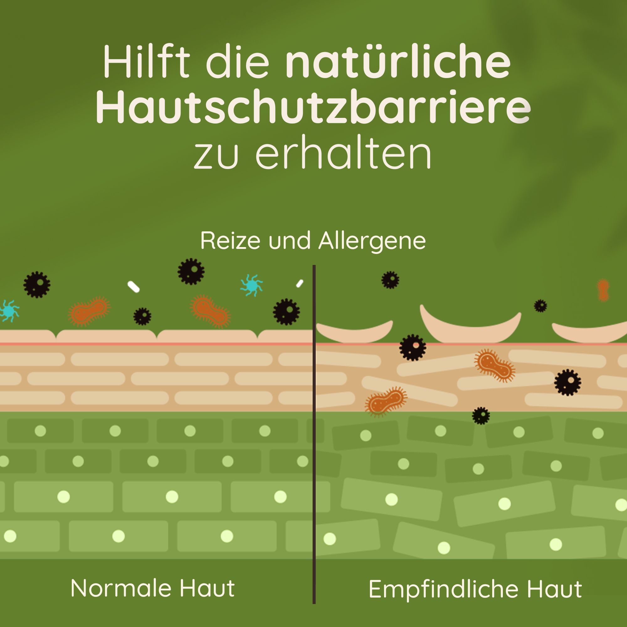Illustrazione che mostra pelle normale e sensibile con irritanti e allergeni.