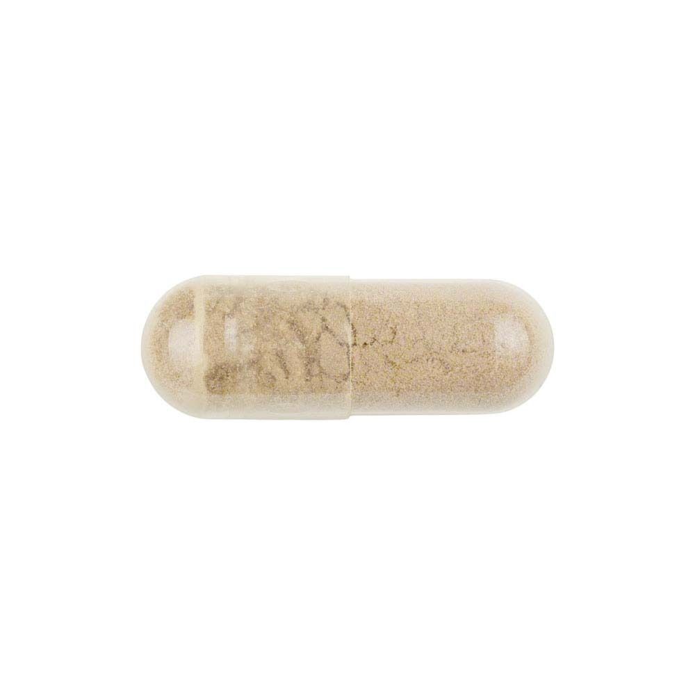 Una singola capsula allungata con contenuto. La capsula è trasparente.