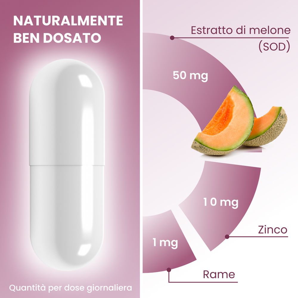 Capsula e panoramica degli ingredienti di plantoCAPS® CELLUVITE® PLUS con melone, zinco e rame.