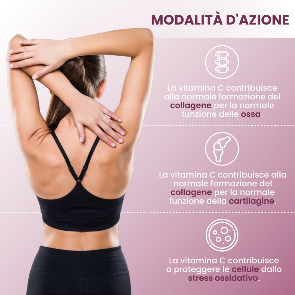 Confezione di plantoCAPS WELLDISC PLUS con illustrazione del dorso.