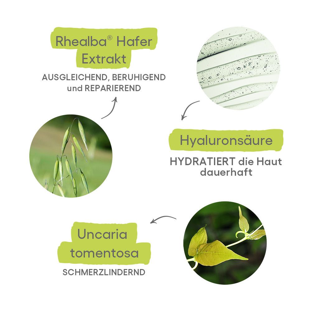Infografica: Estratto di avena Rhealba, acido ialuronico e Uncaria Tomentosa con immagini di avena, pianta e texture per la cura della pelle.