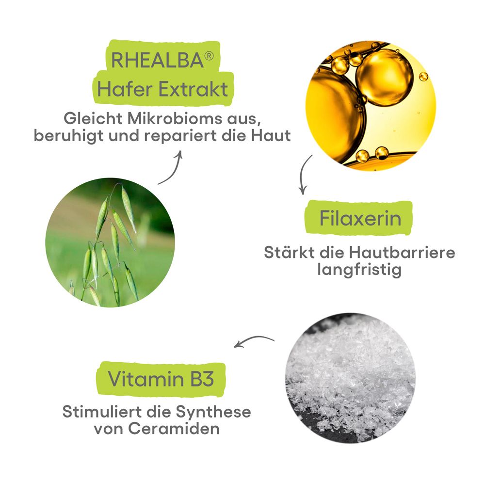 Ingredienti: Estratto di avena Rhealba, Filaxerina, Vitamina B3. Rappresentazione grafica degli ingredienti e dei loro effetti.