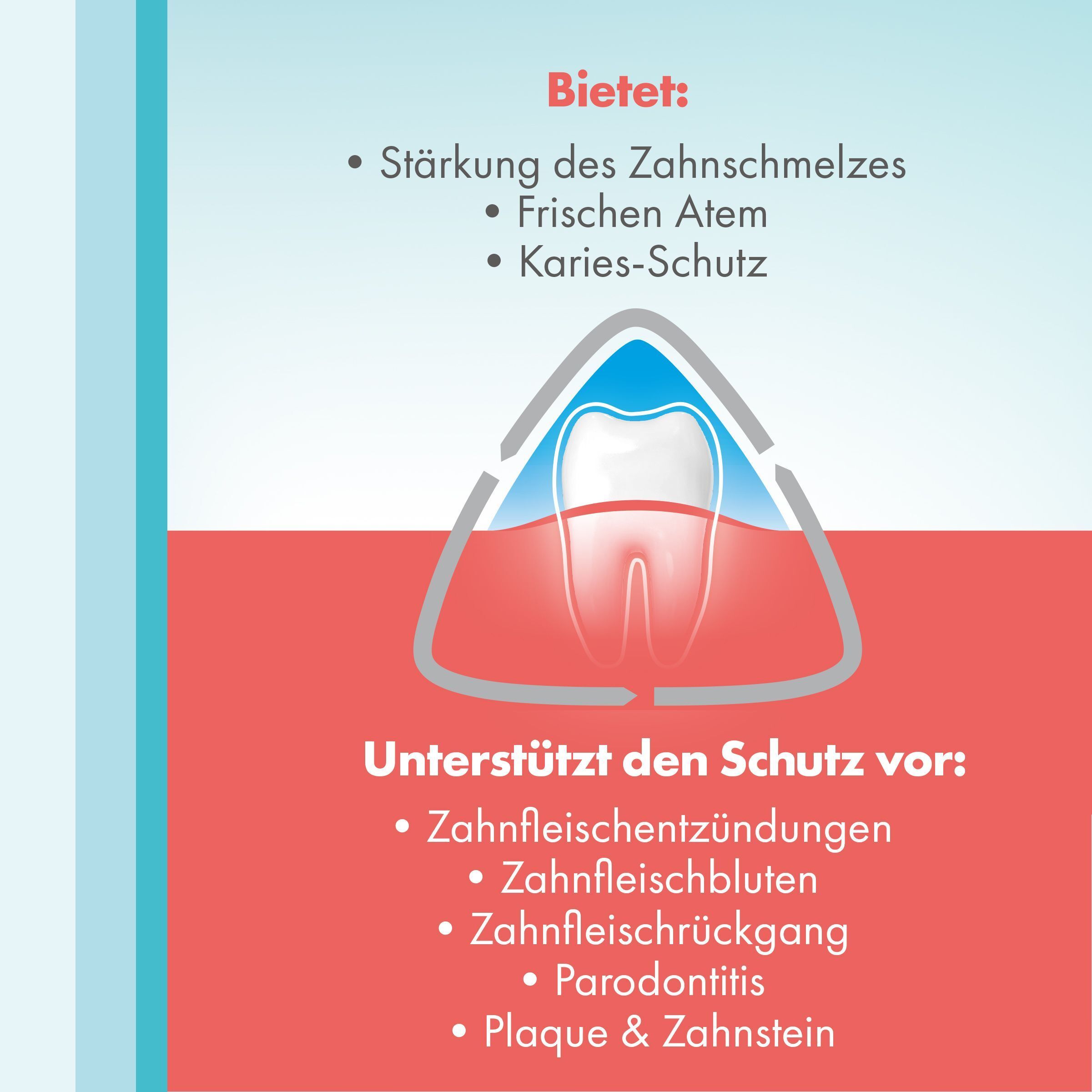 Grafica mostra dente con scudo protettivo. Offre rinforzo dello smalto, alito fresco, protezione carie. Supporta protezione contro gengivite, sanguinamento gengivale, recessione gengivale, parodontite, placca e tartaro.