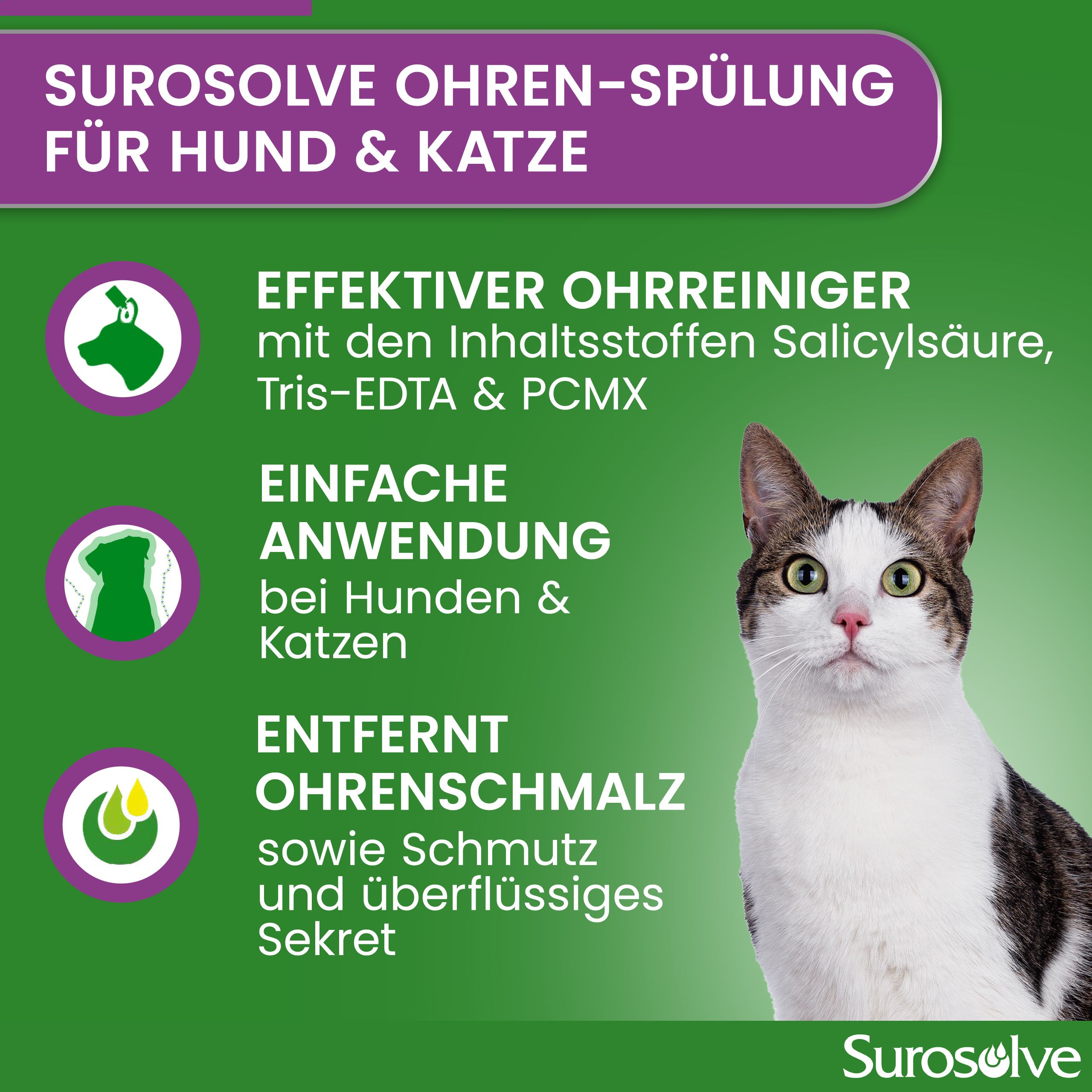 Gatto con campo di testo sul detergente per orecchie Surosolve per cani e gatti.
