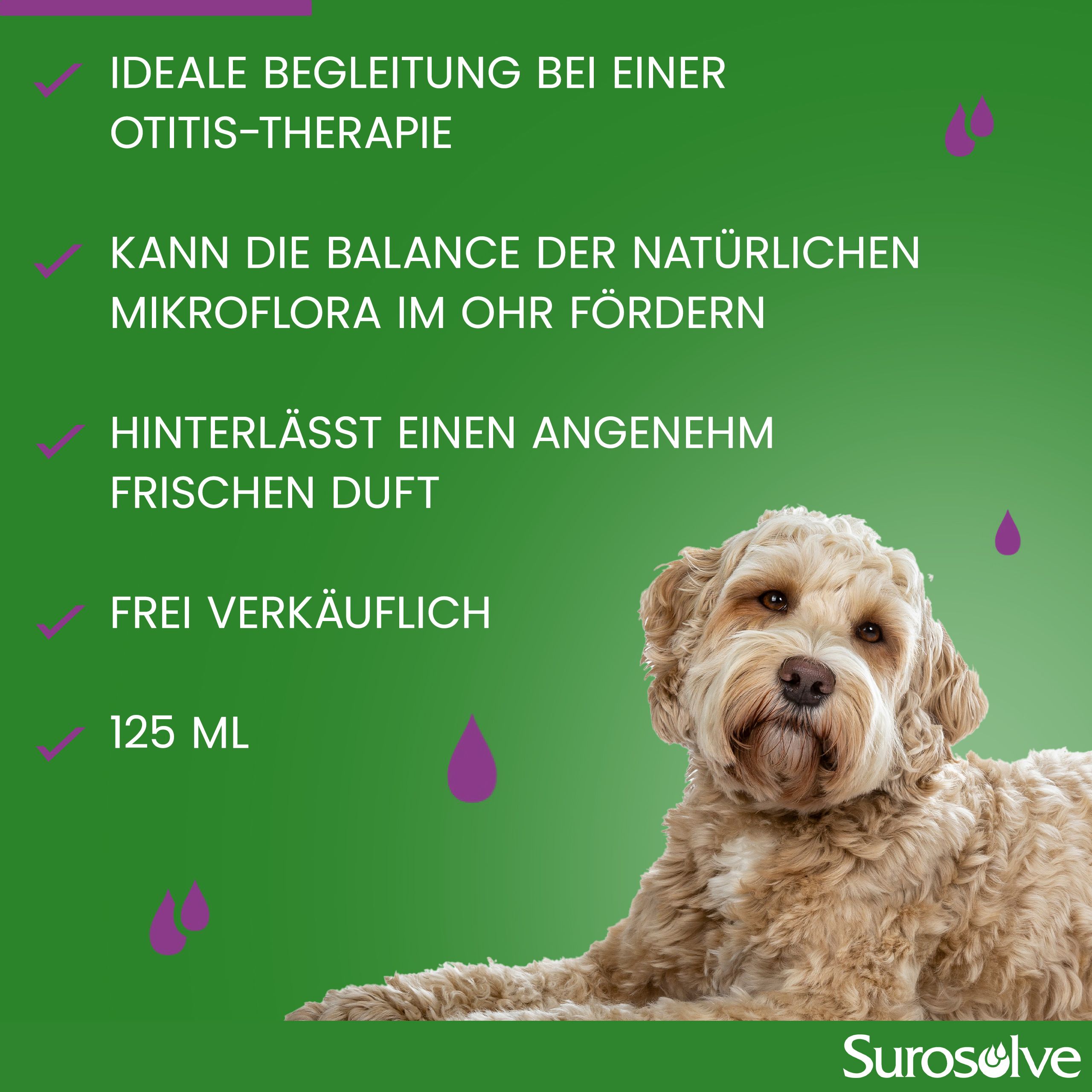 Cane con testo sulla cura delle orecchie e 125 ml.
