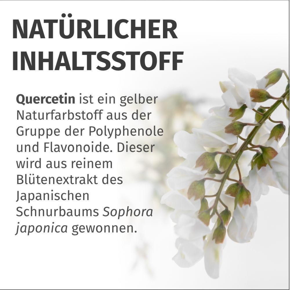 Testo: Ingrediente naturale. La quercetina è un colorante naturale giallo. Estratto di fiori di Sophora japonica.