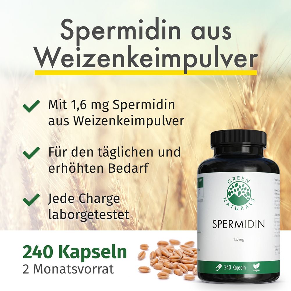 Flacone del prodotto con "GREEN NATURALS SPERMIDIN 1,6 mg". Testo: "Spermidina da germe di grano". 240 capsule, 2 mesi di fornitura. Grani di grano sullo sfondo.