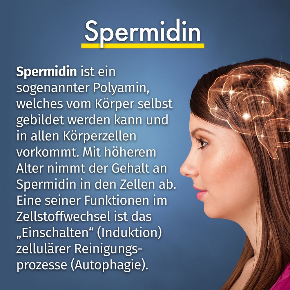 Donna con bolle di pensiero. Testo: "Spermidina". La spermidina è una poliammina. Cervello con connessioni luminose. Testo sulle funzioni della spermidina.