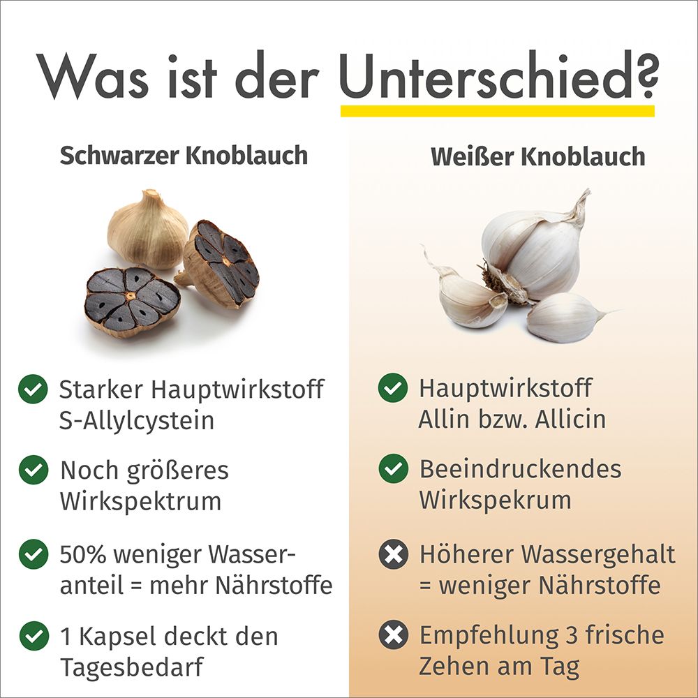 Confronto: Aglio nero vs. Aglio bianco. Vantaggi e differenze negli effetti.