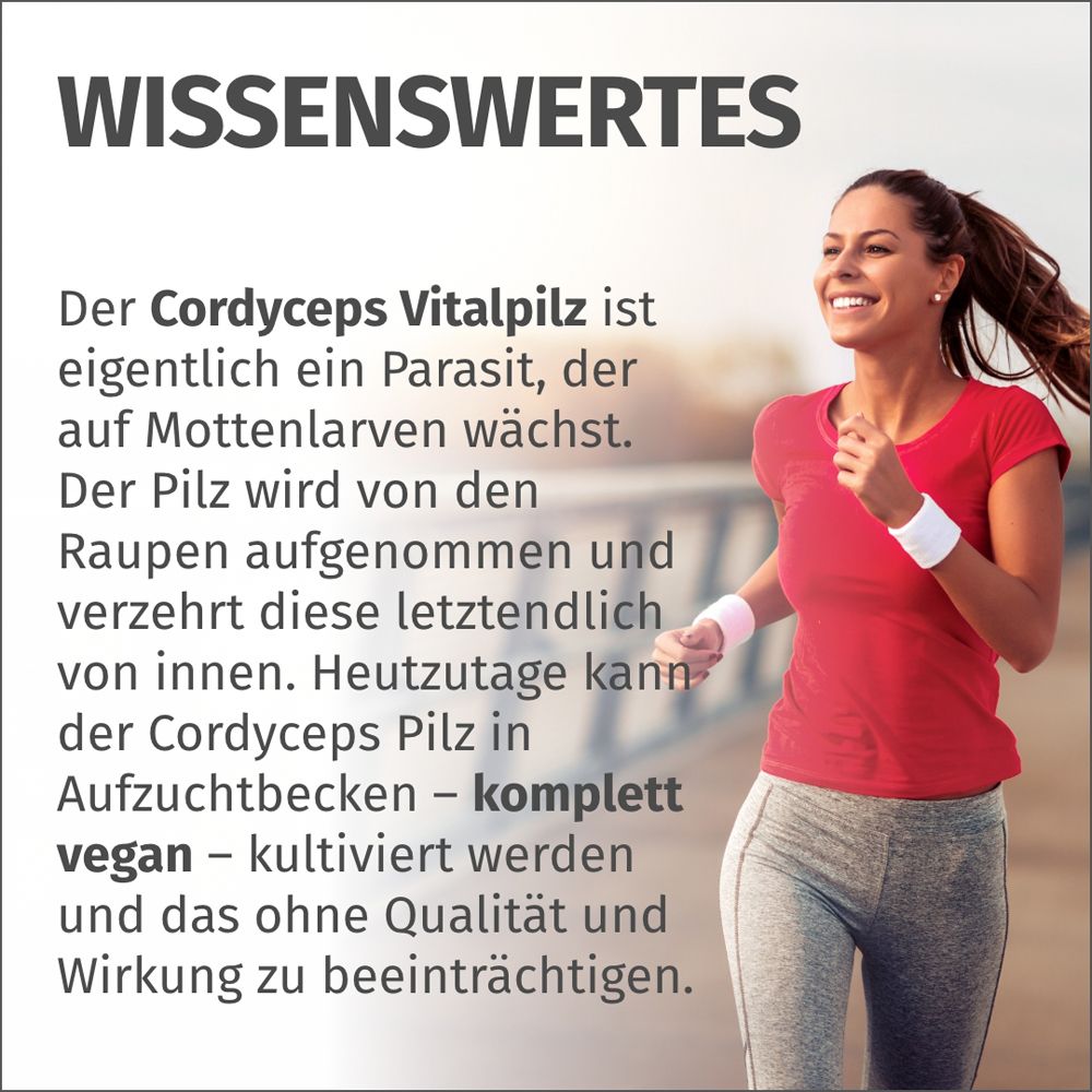 Corridrice e testo sul fungo vitale Cordyceps, coltivato vegano.