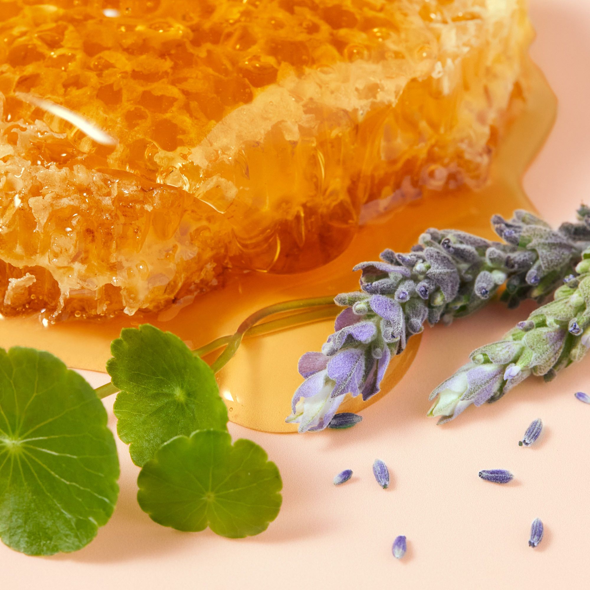 Favo, lavanda e foglie verdi su sfondo beige. Miele che gocciola.