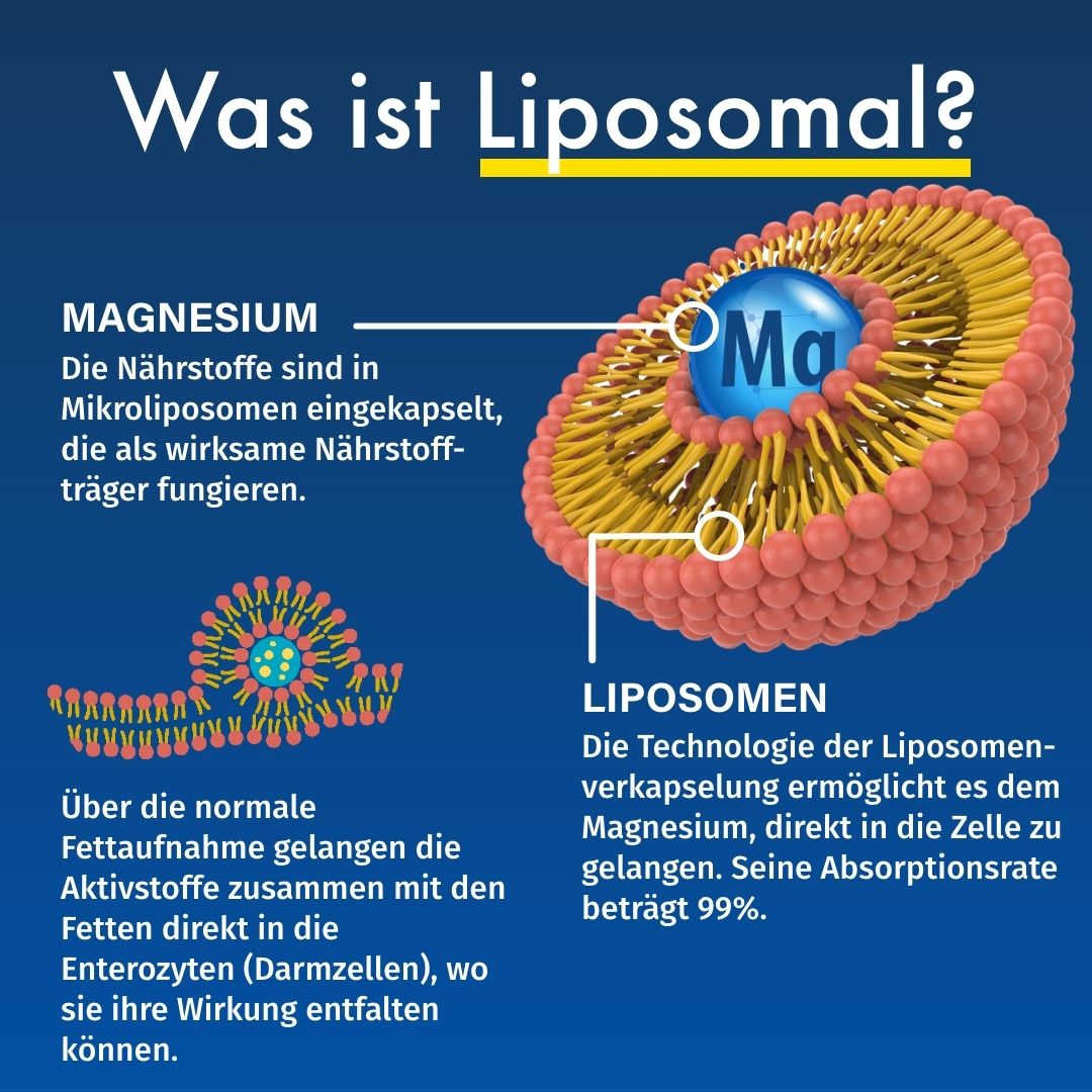 Grafico: Cos'è il liposomiale? Rappresentazione di liposomi e magnesio. Testo sulla tecnologia.