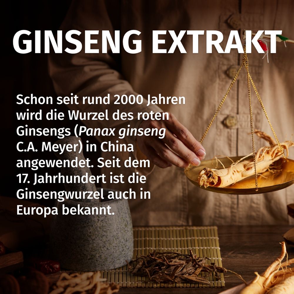 Radice di ginseng su una bilancia, rappresentazione storica del suo uso.