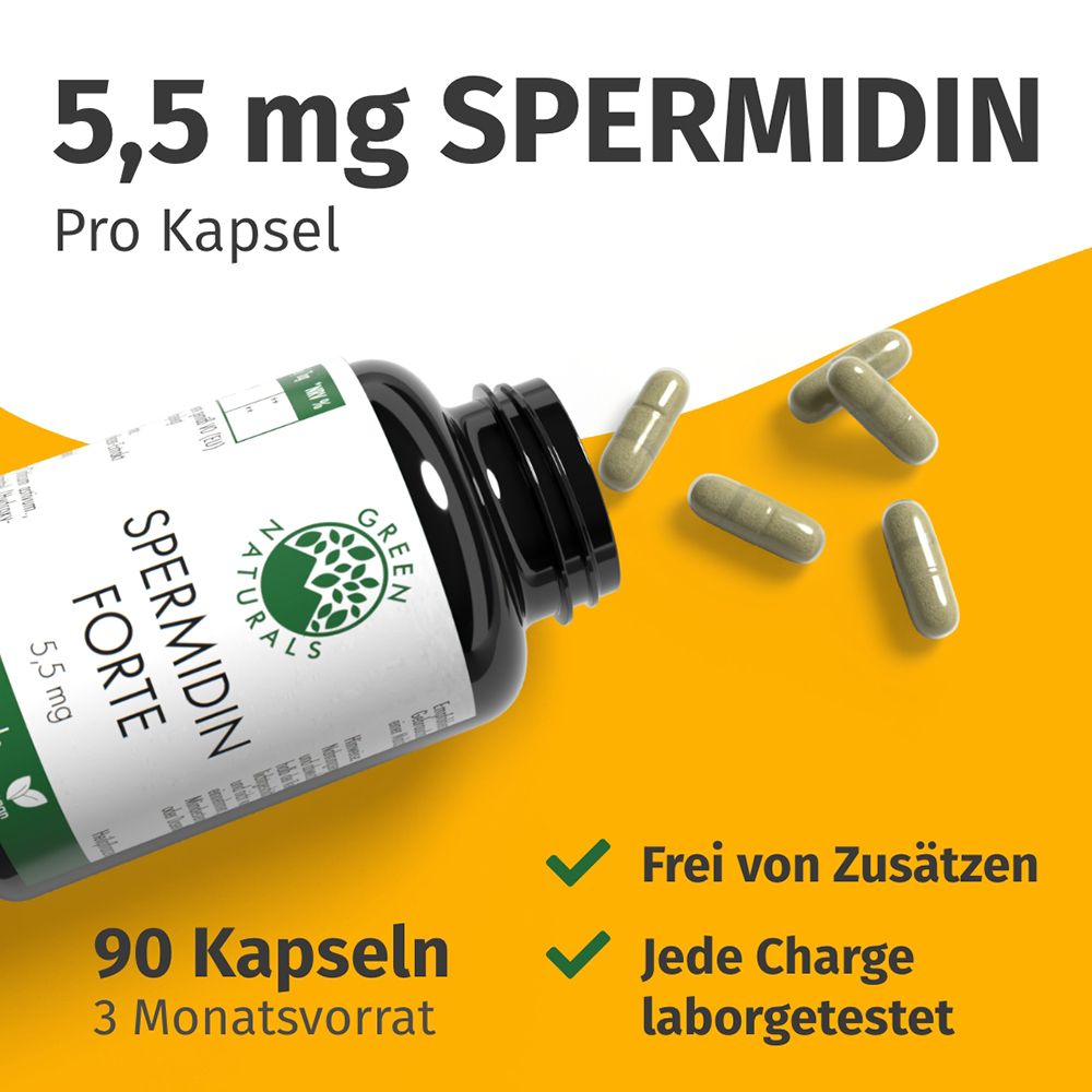 Bottiglia con capsule che cadono. Spermidin Forte 5,5 mg, 90 capsule. Senza additivi, testato in laboratorio.