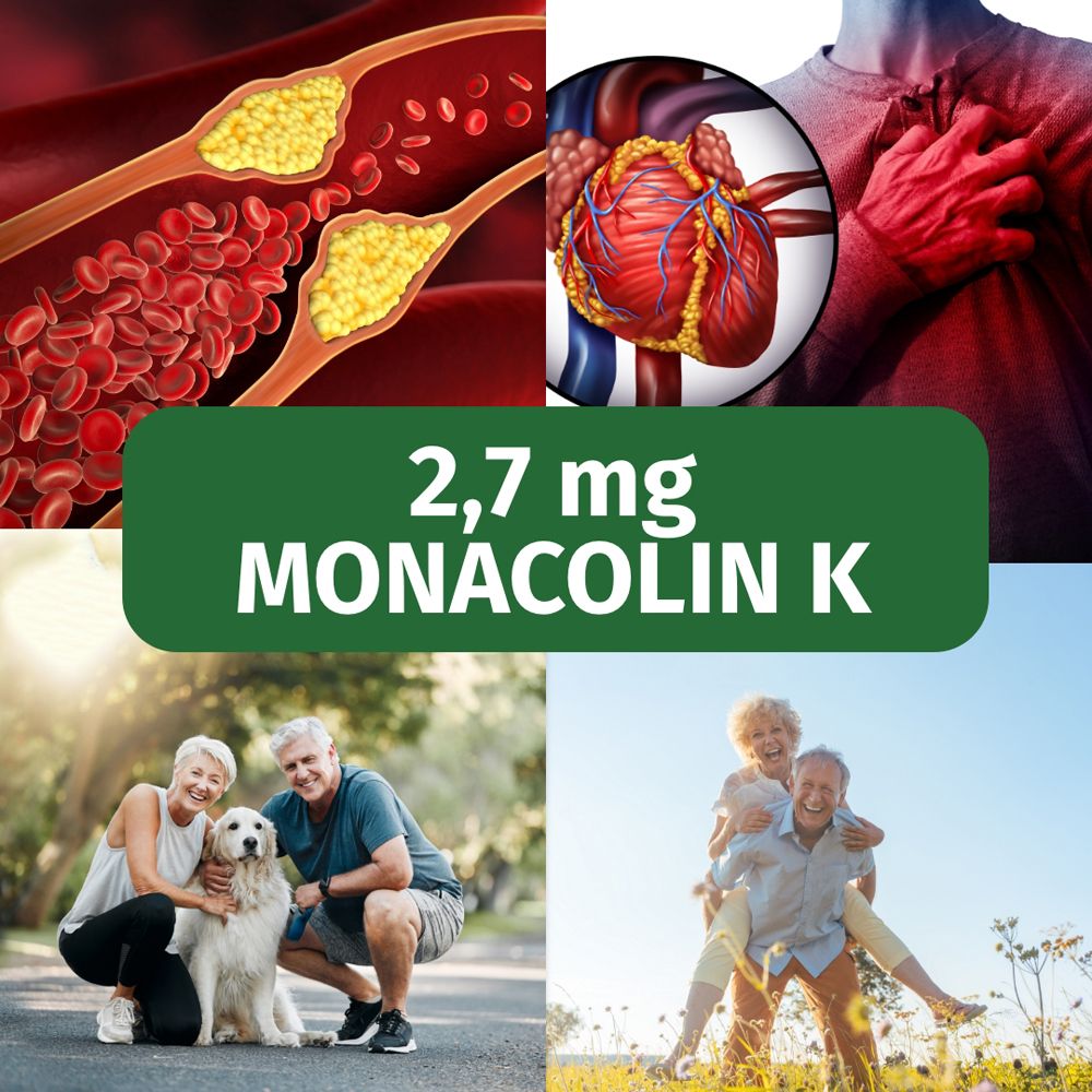 Collage: Vasi sanguigni, cuore, 2,7 mg di monacolina K, coppia anziana con cane, coppia anziana.