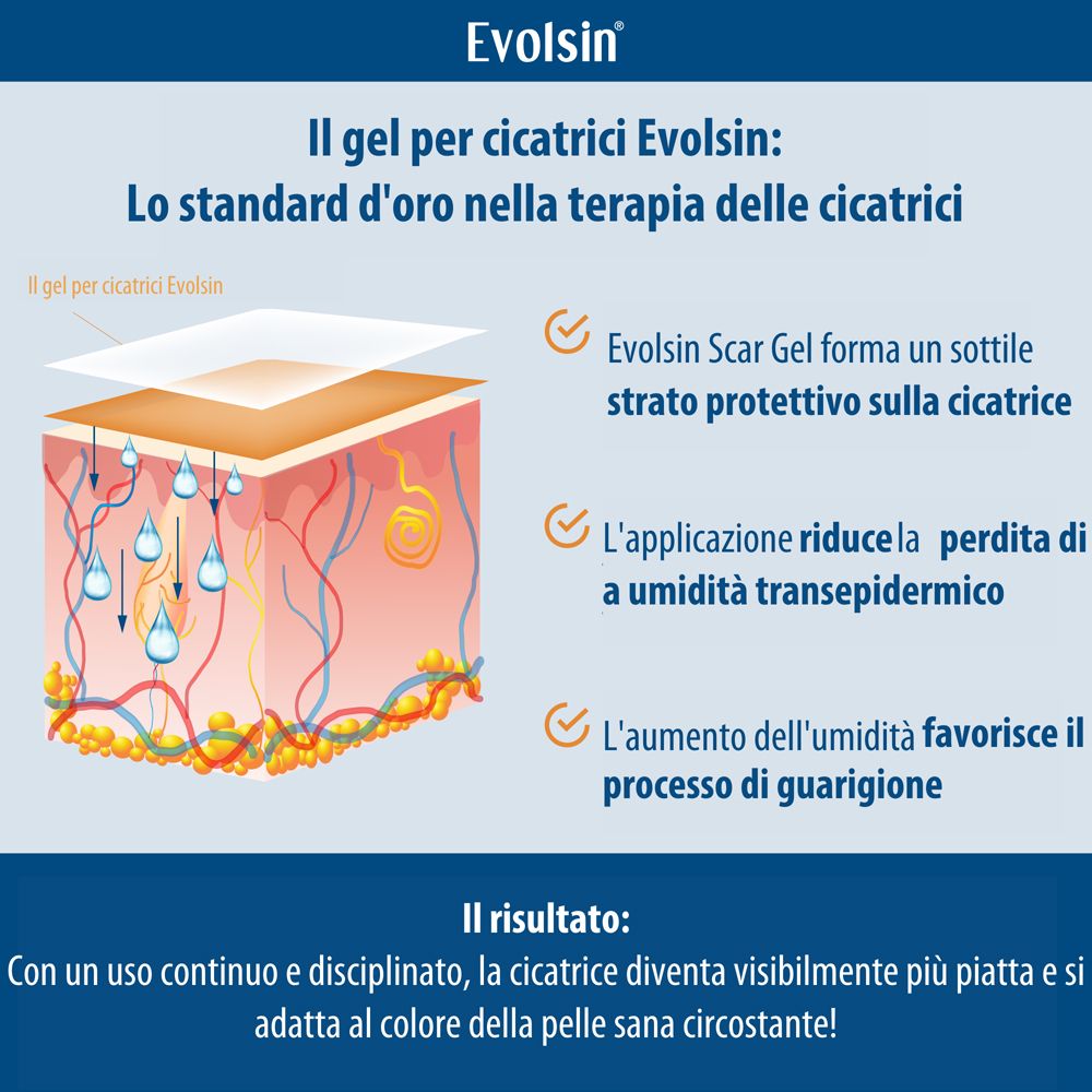 Grafico con caratteristiche del prodotto. Competente, di alta qualità, sostenibile.