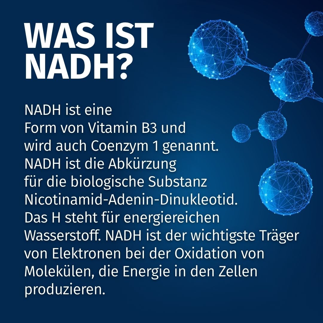 Rappresentazione molecolare di NADH, con spiegazione: Vitamina B3, Coenzima 1, Nicotinammide-Adenina-Dinucleotide.