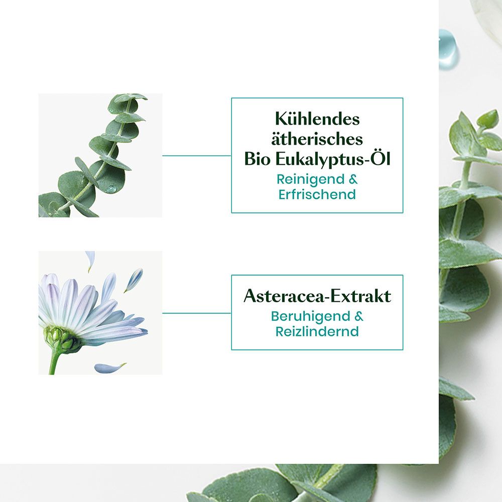 Olio essenziale biologico di eucalipto rinfrescante, purificante & tonificante. Estratto di asteracea, lenitivo & calmante.