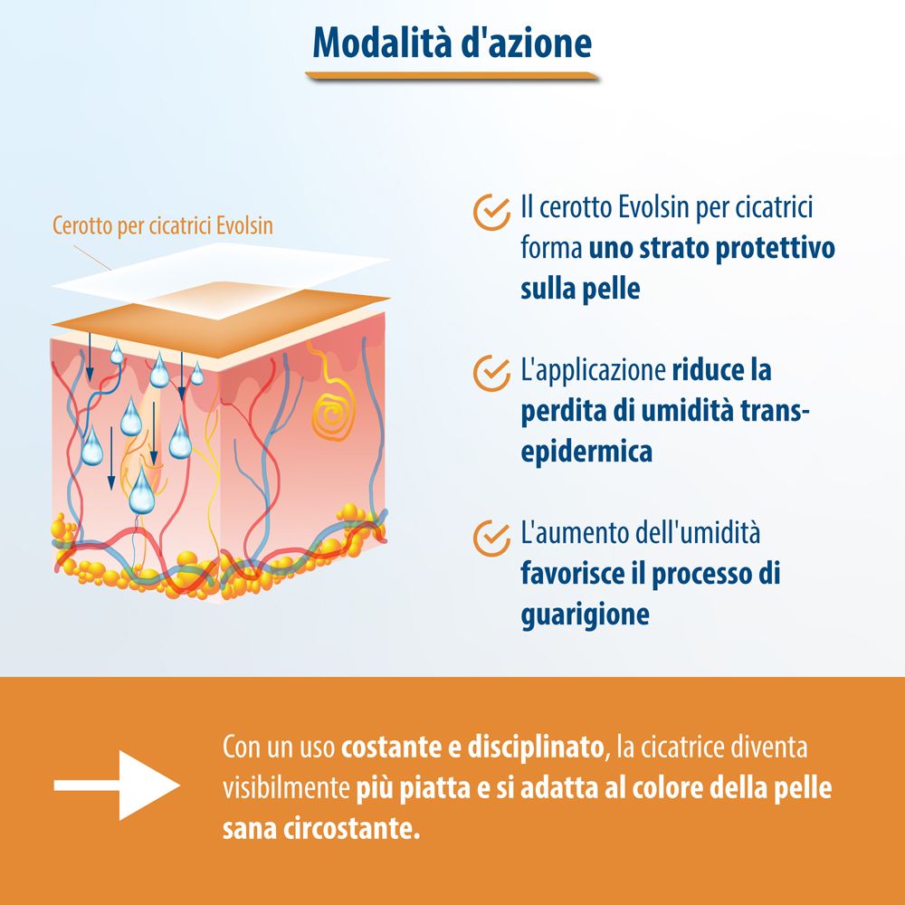 Grafico: Modalità d'azione del cerotto Evolsin®. Strato sulla cicatrice, riduce la perdita di umidità.