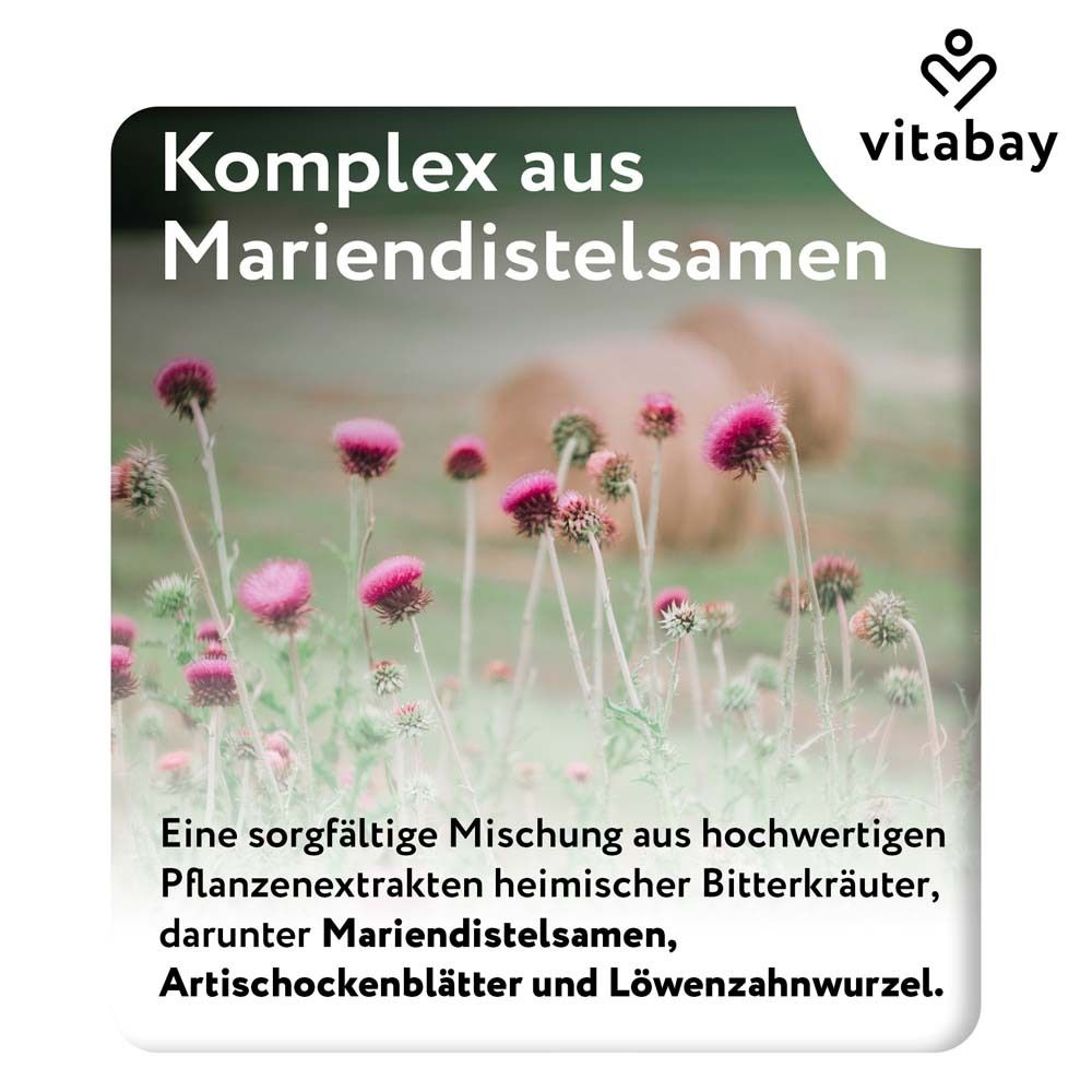 Primo piano di fiori di cardo. Testo: Complesso di semi di cardo mariano. Estratti vegetali di alta qualità.