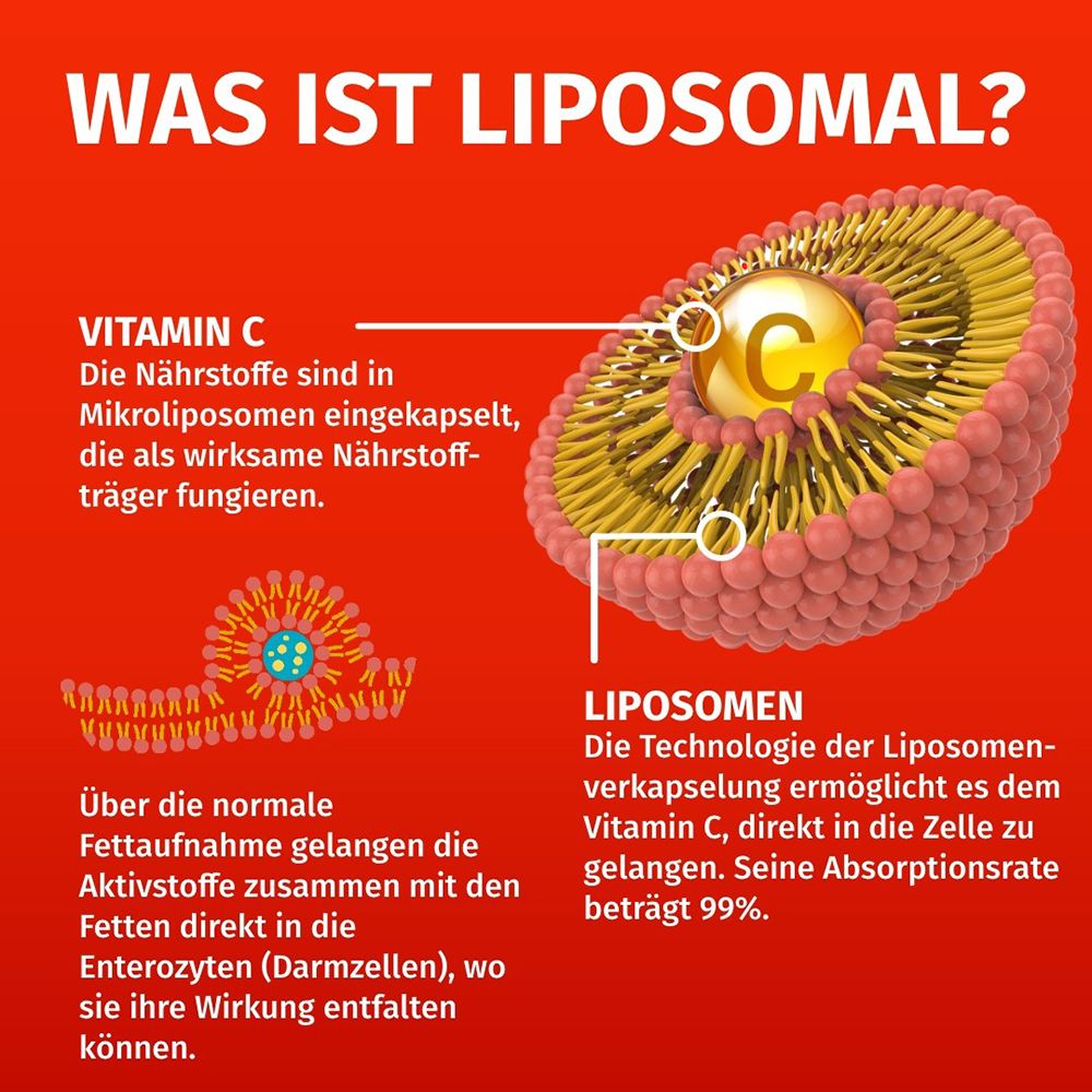 Grafico che spiega la Vitamina C liposomiale: nutrienti in microlip osomi, assorbimento 99%.