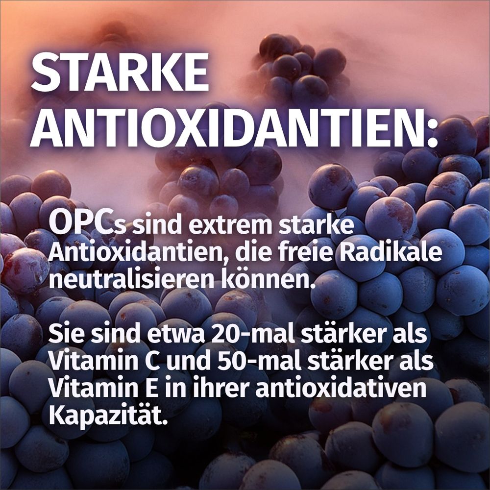 Potenti antiossidanti: Gli OPC neutralizzano i radicali liberi, più forti di vitamina C/E.