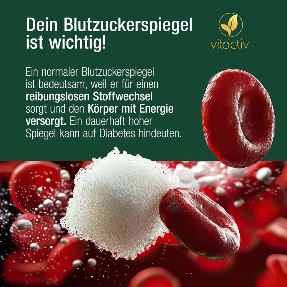 Grafica con globuli rossi e zucchero. Testo: Dein Blutzuckerspiegel ist wichtig! Logo vitactiv.