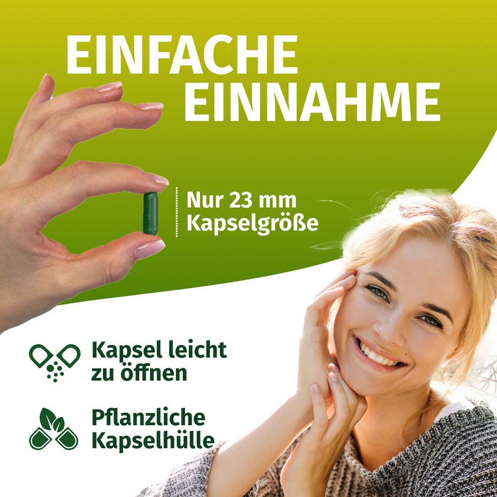 Mano che tiene una capsula verde (23 mm). Donna sorridente. Involucro vegetale della capsula, facile da aprire.