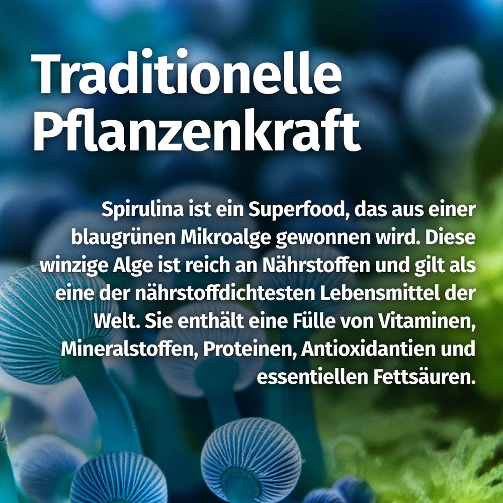 Potenza vegetale tradizionale: Testo sulla spirulina come superfood da microalghe, ricco di nutrienti.