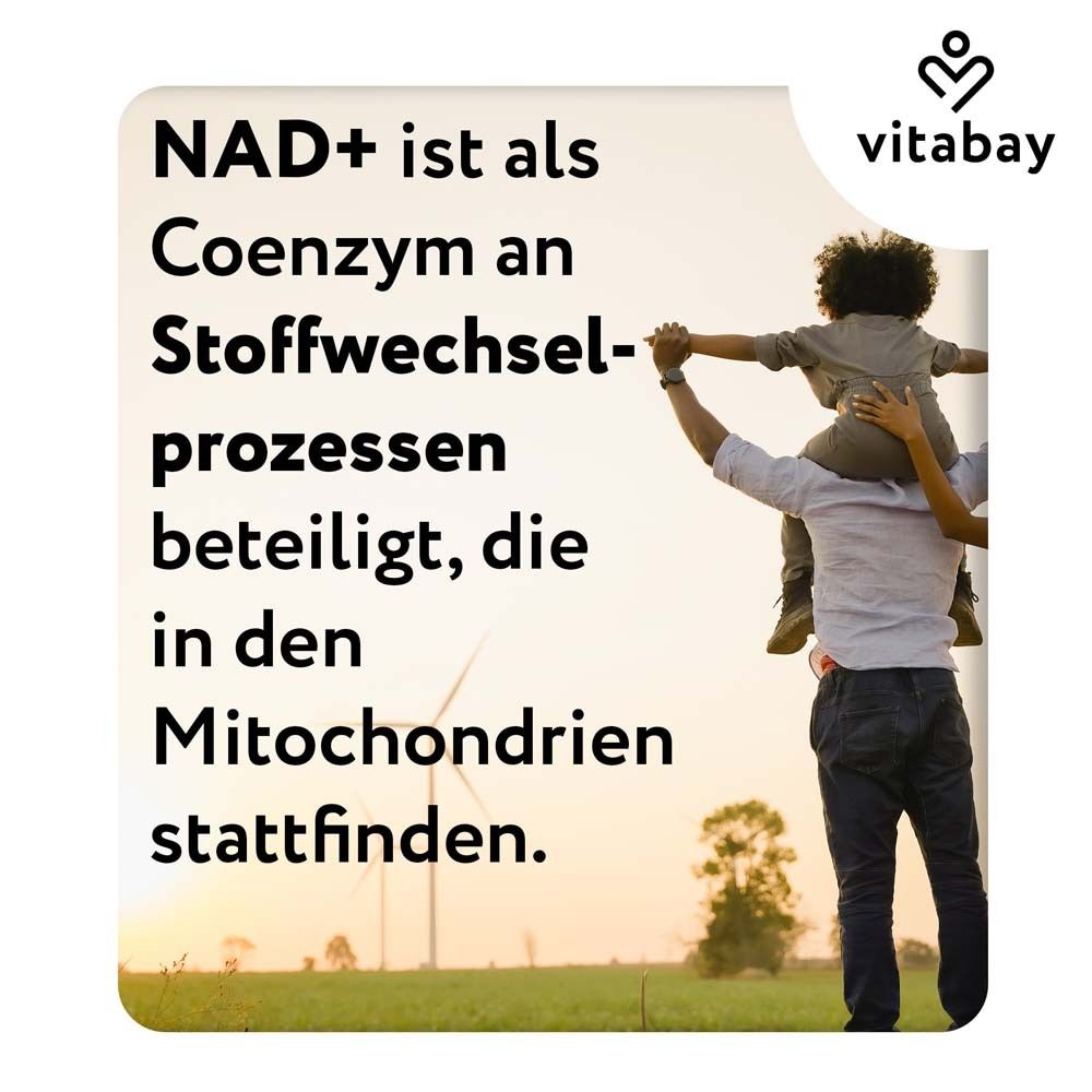 Il NAD+ è un coenzima coinvolto nei processi metabolici che avvengono nei mitocondri.