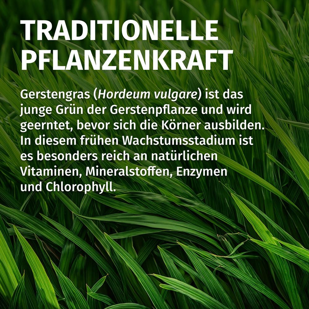 Primo piano sull'erba d'orzo. Testo: Forza vegetale tradizionale. L'erba d'orzo è il giovane verde della pianta d'orzo. Ricco di vitamine.