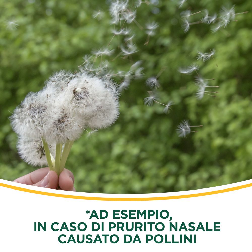 Mani che tengono semi di tarassaco. Testo: *AD ESEMPIO, IN CASO DI PRURITO NASALE CAUSATO DA POLLINI.