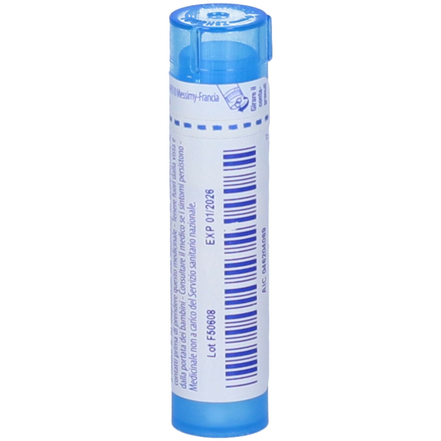 Lachnanthes Tinctoria*9Ch 80Gr