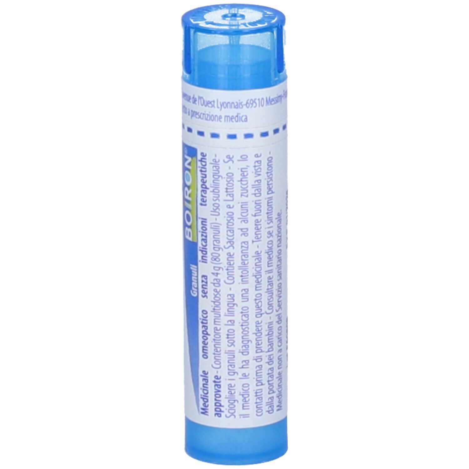 Lachnanthes Tinctoria*9Ch 80Gr