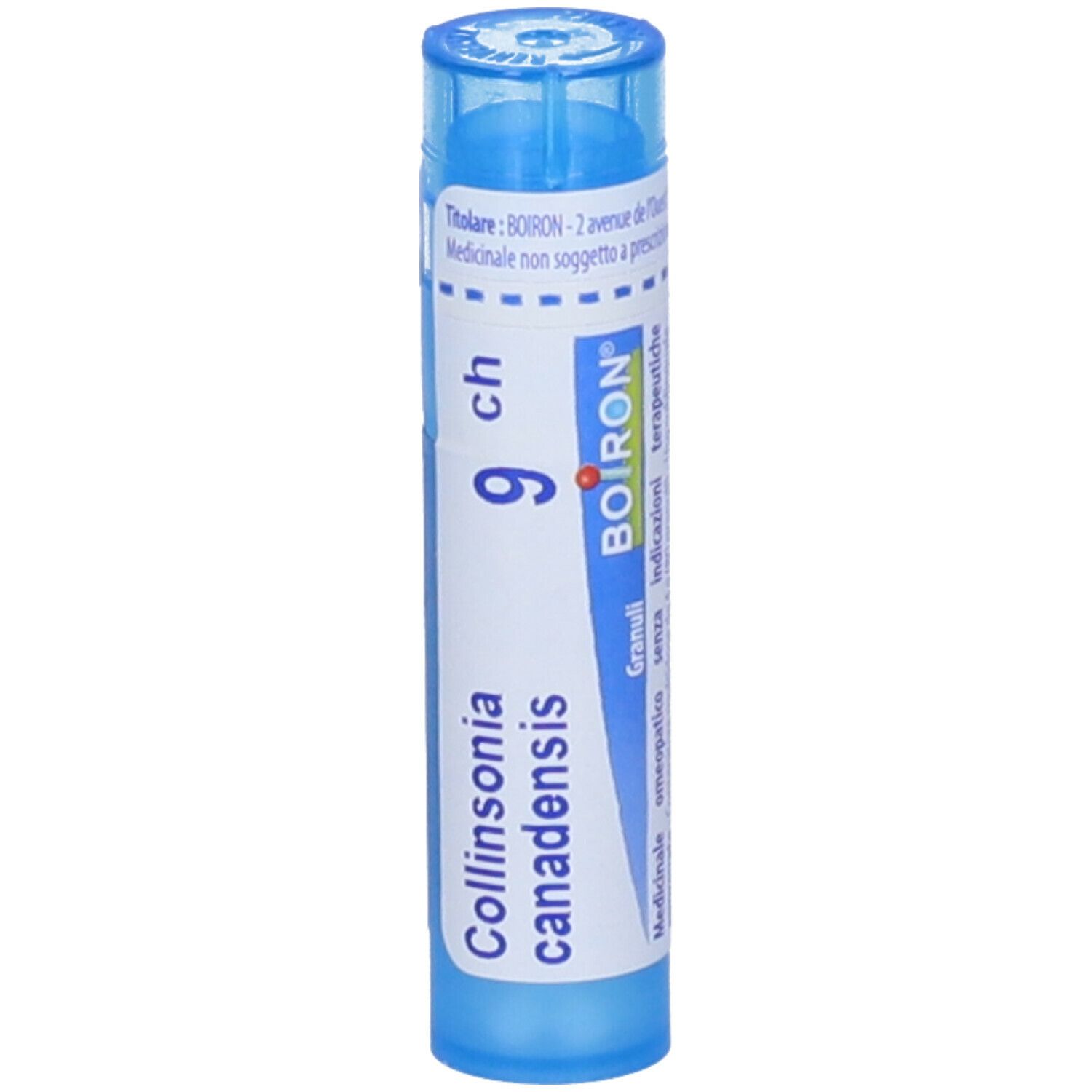 Tubo blu con 'Collinsonia canadensis 9 ch' e 'BOIRON'. Granuli.