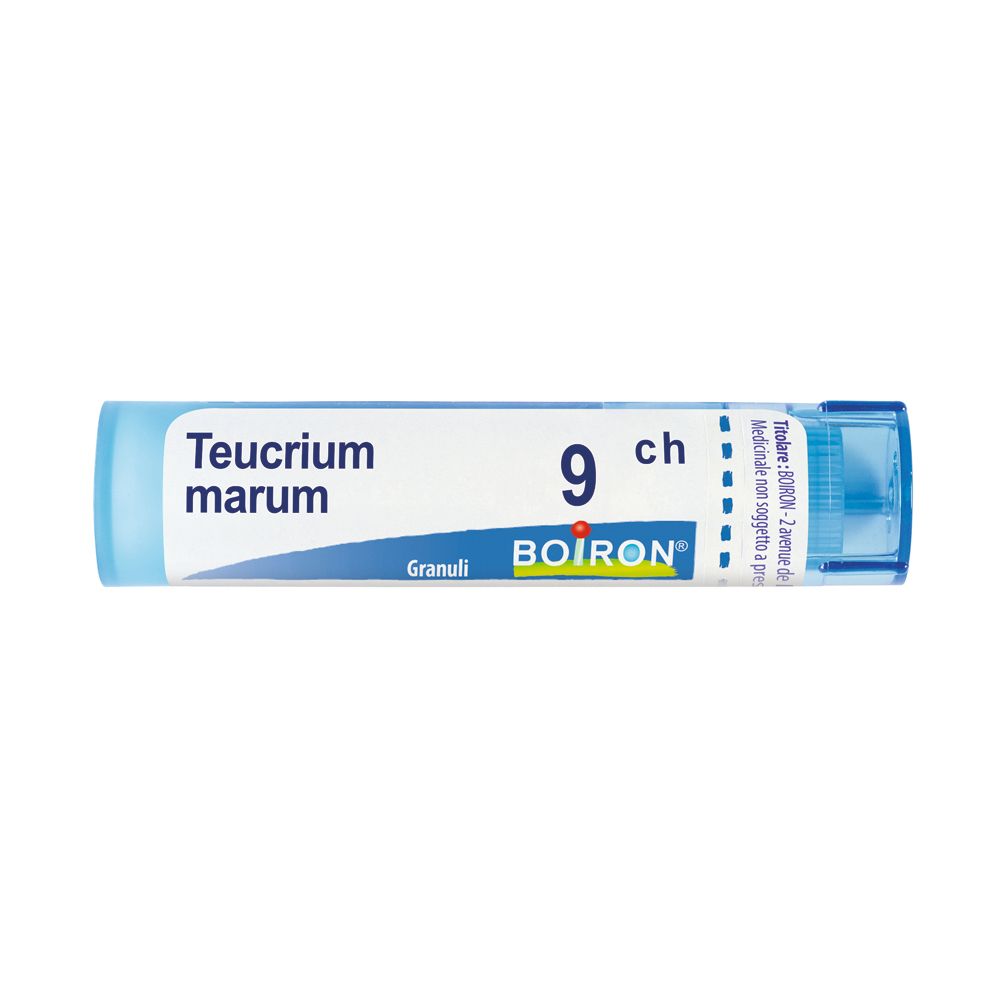 Teucrium Marum*9Ch 80Gr 4G