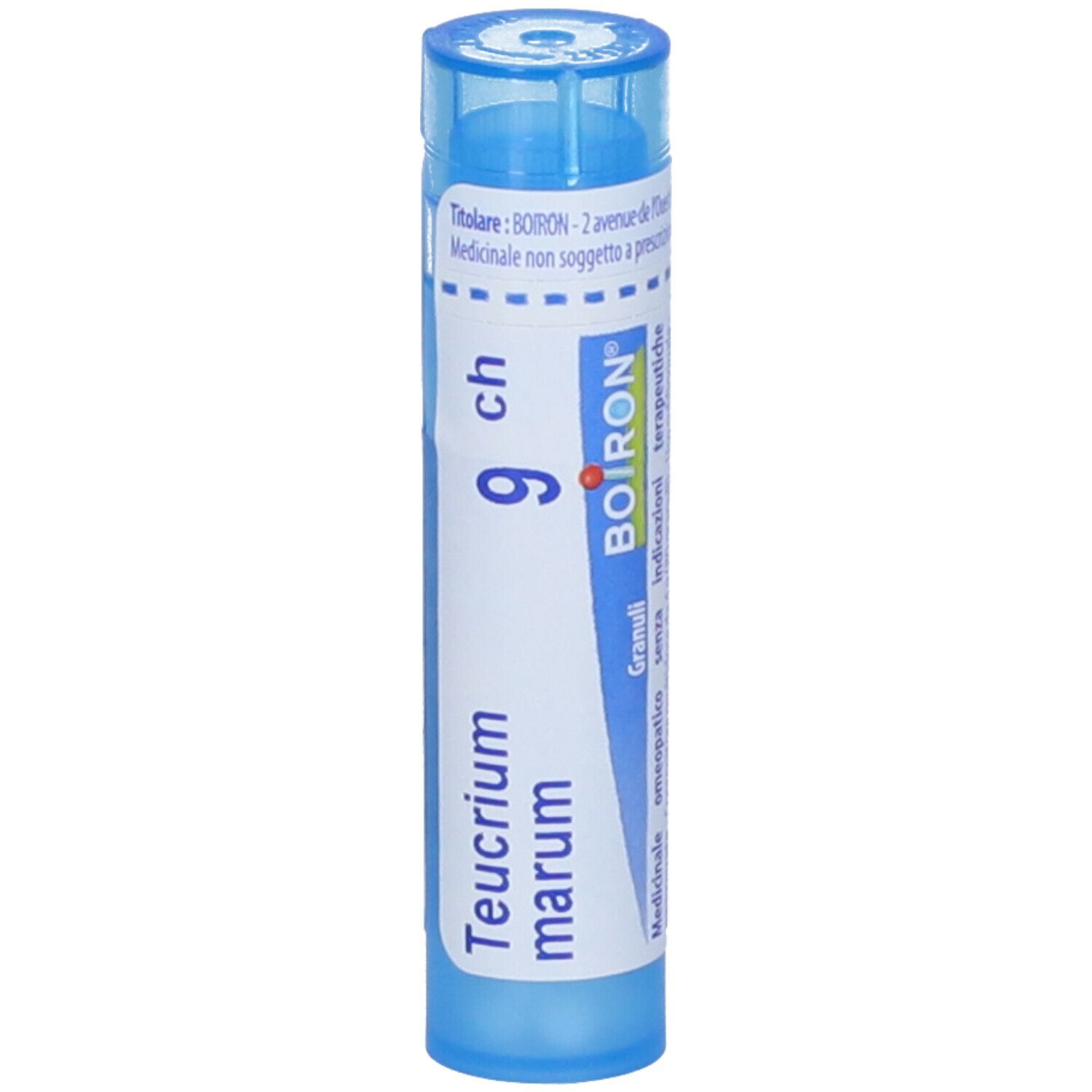 Teucrium Marum*9Ch 80Gr 4G
