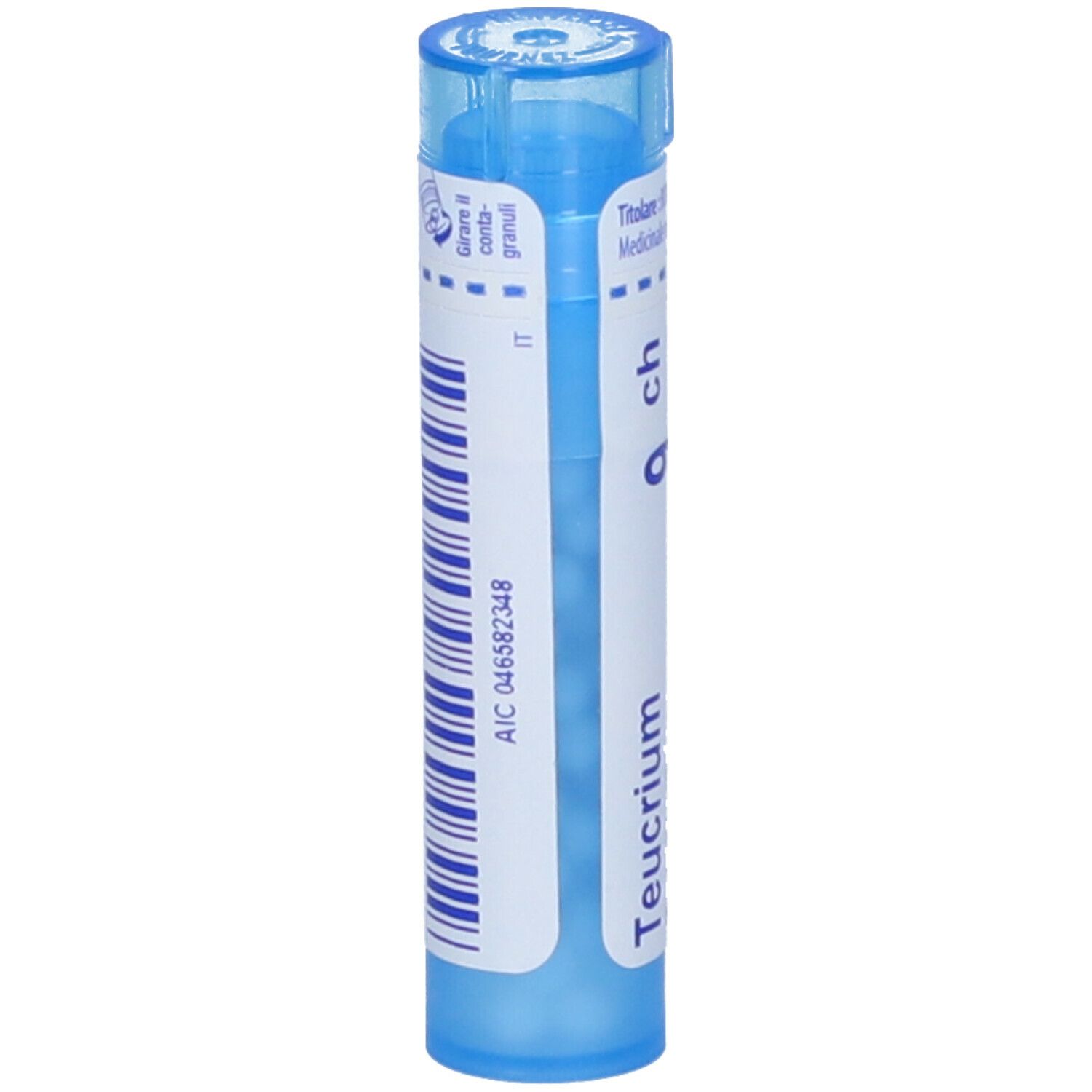 Teucrium Marum*9Ch 80Gr 4G