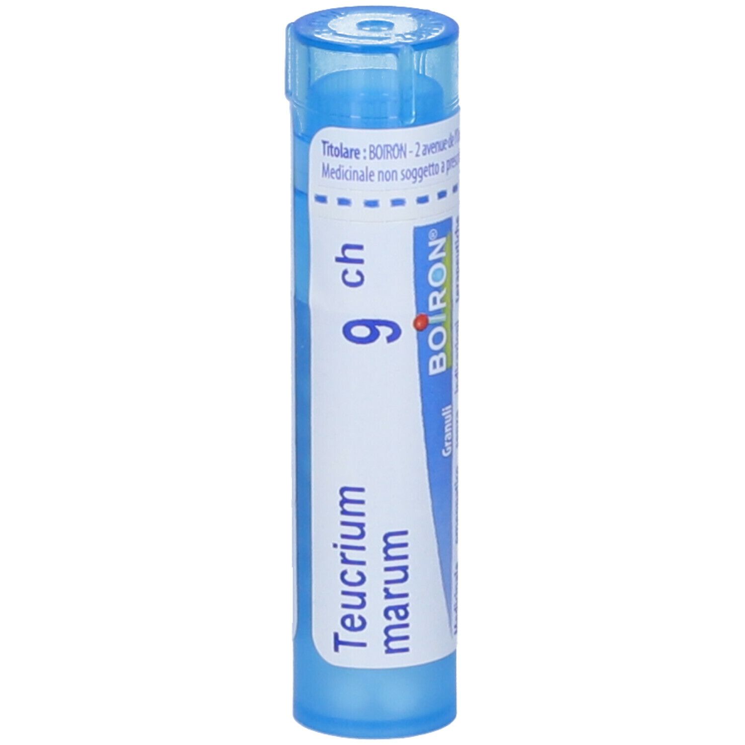 Teucrium Marum*9Ch 80Gr 4G