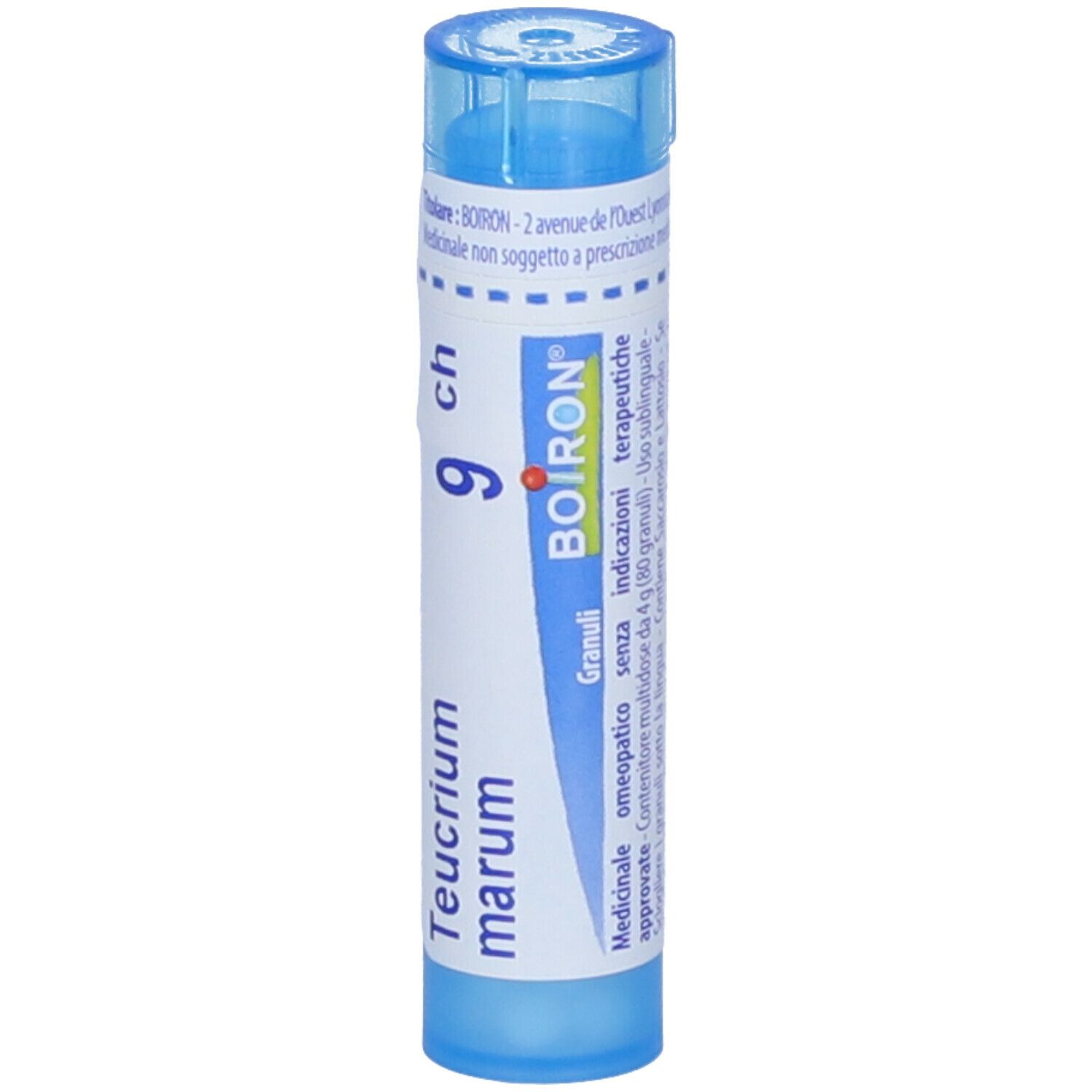 Teucrium Marum*9Ch 80Gr 4G