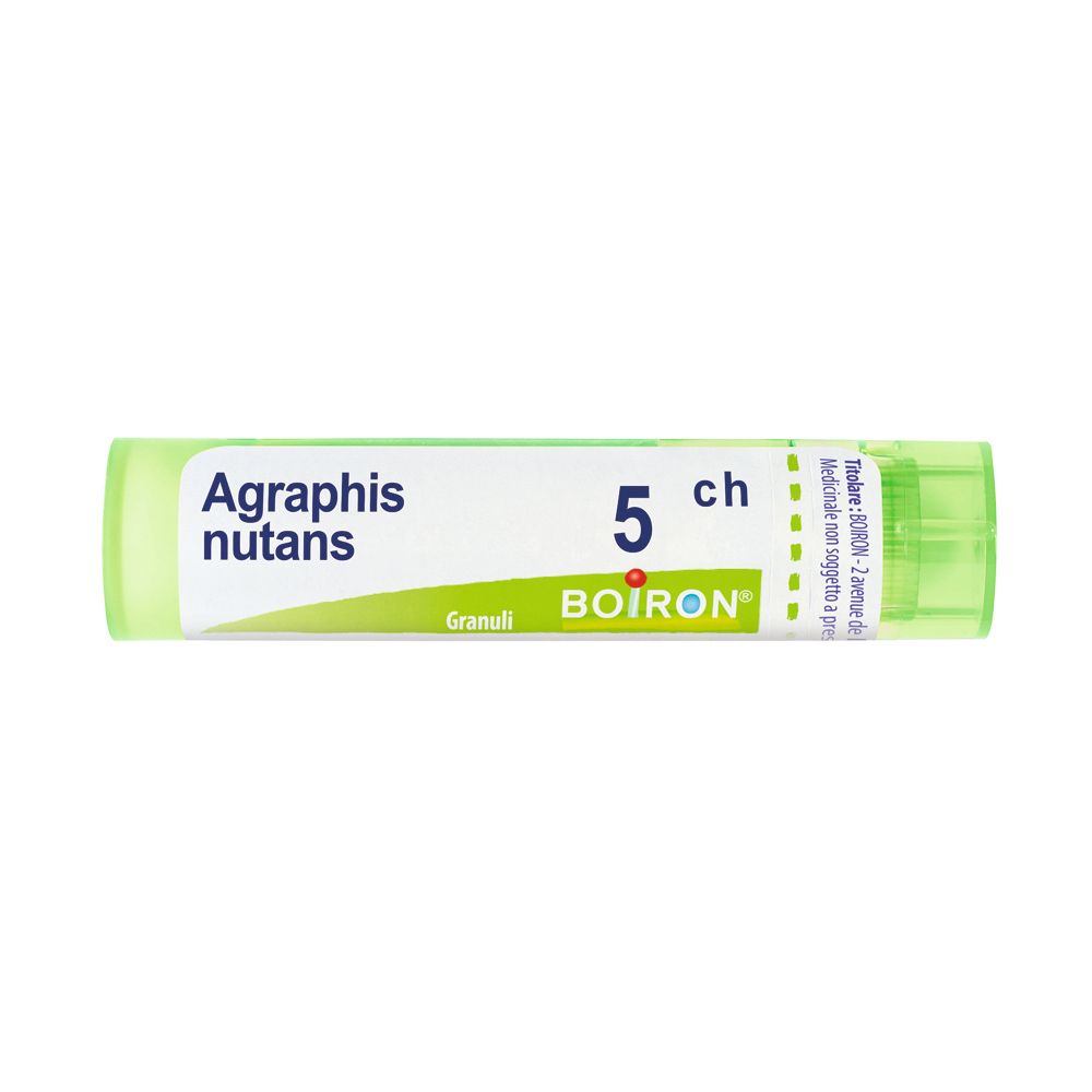 Agraphis Nutans*5Ch 80Gr 4G