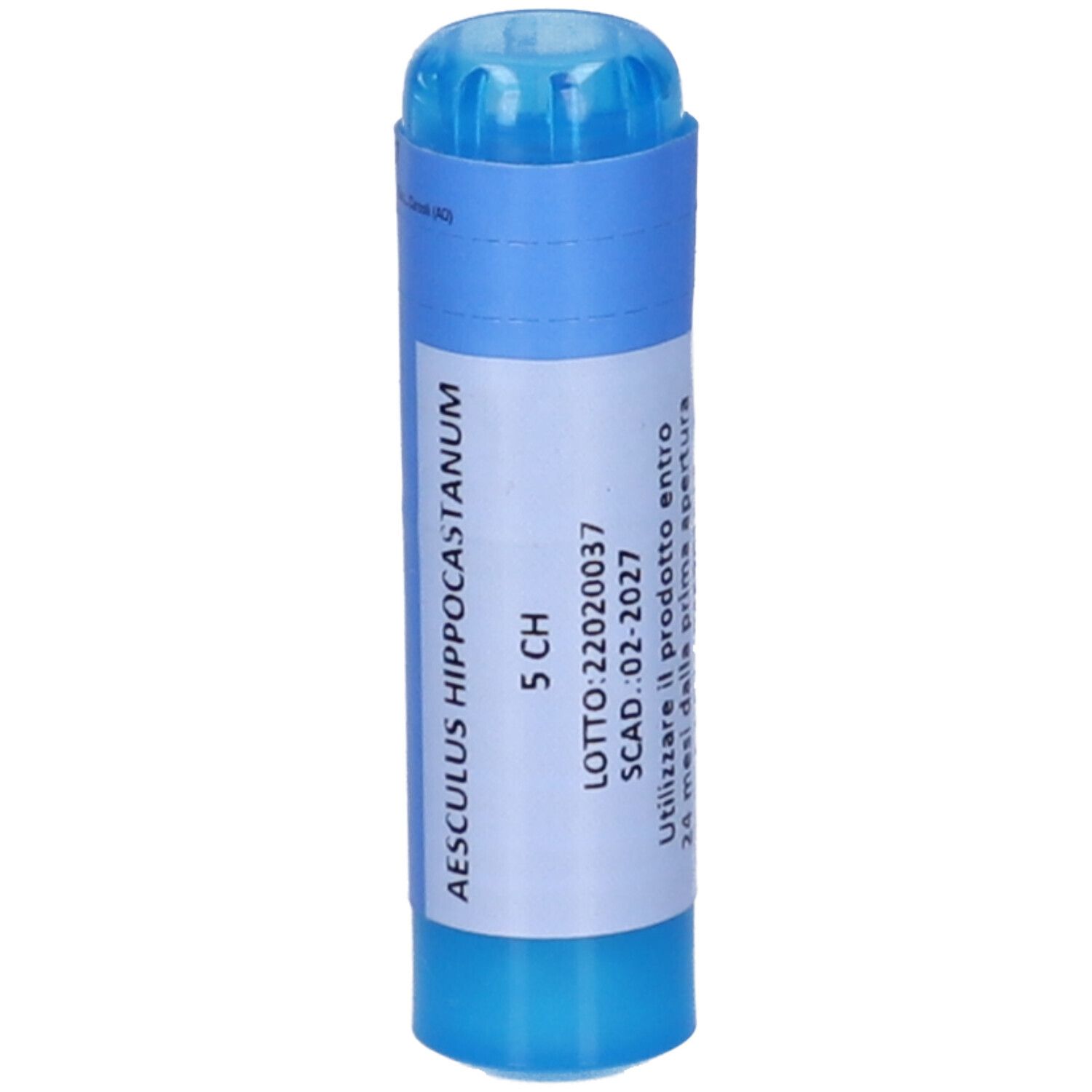 Contenitore cilindrico blu con etichetta bianca. Testo: Aesculus Hippocastanum 5 CH, LOTTO e scadenza.