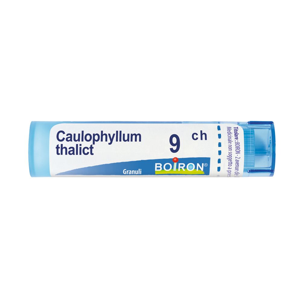 Caulophyllum Thalictroides*9Ch
