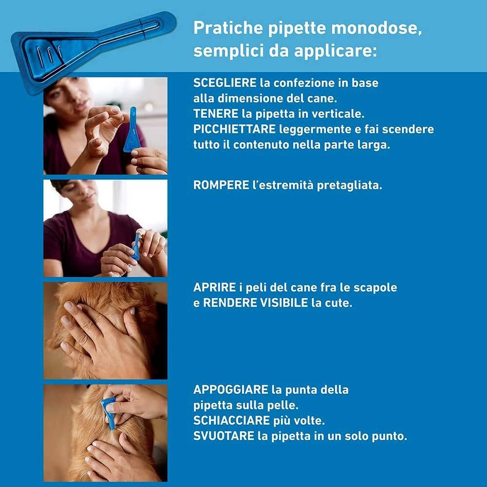 Istruzioni per l'uso delle pipette. Immagini che mostrano l'applicazione. Pipetta blu.