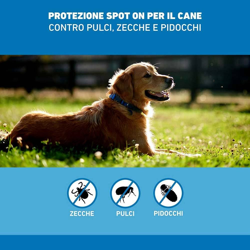 Immagine di sfondo con cane nell'erba. Testo: Protezione contro pulci, zecche e pidocchi.