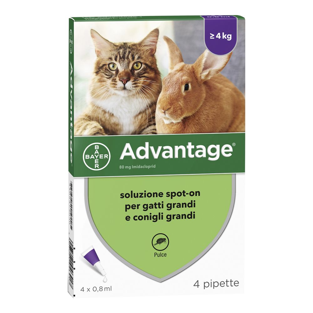 Advantage 80 Mg Soluzione Spot-On Per Gatti Grandi E Conigli Grandi