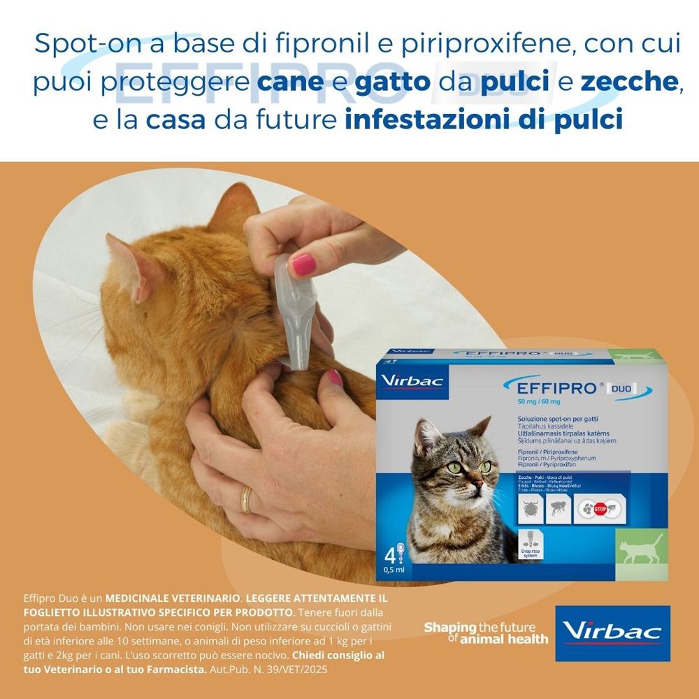 Gatto trattato con spot-on. Confezione EFFIPRO DUO. Marchio Virbac. Testo sulla protezione da pulci e zecche.