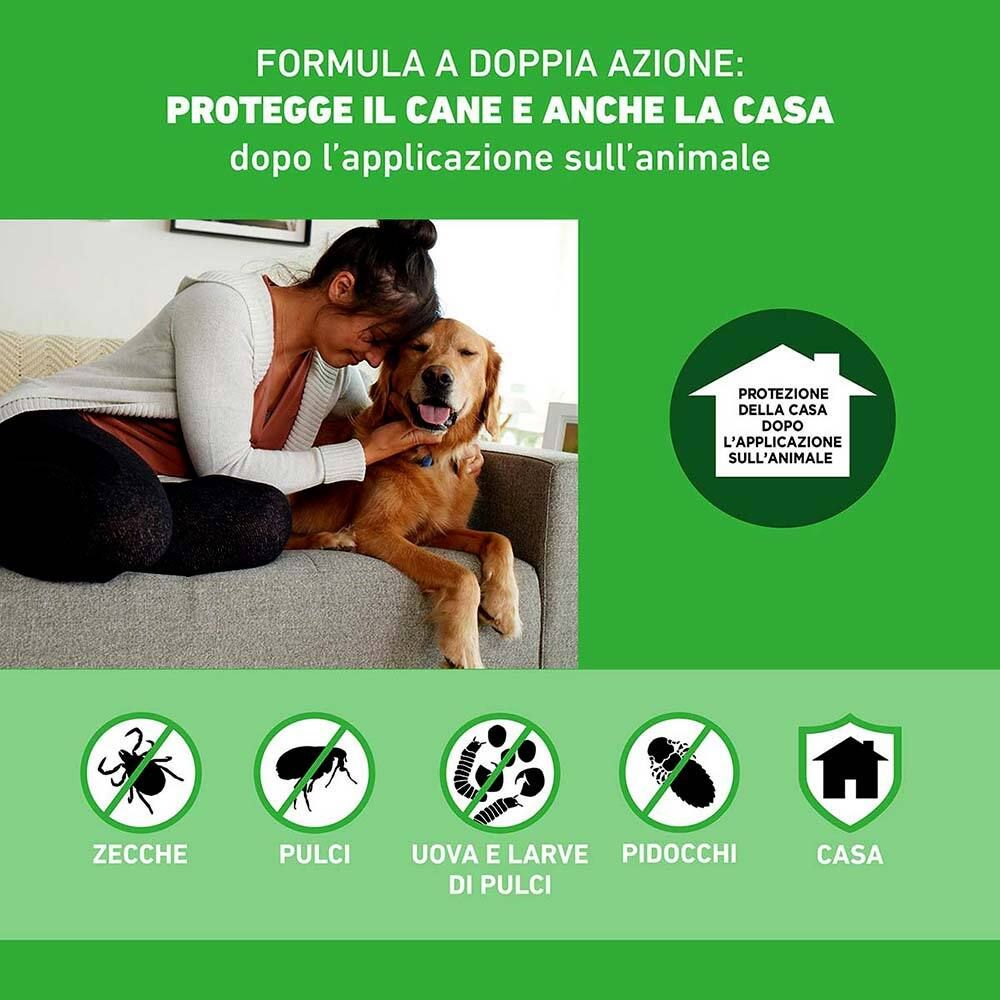 Grafica con testo: Protegge il cane e anche la casa. Illustrazioni di zecche, pulci, uova, pidocchi e una casa.