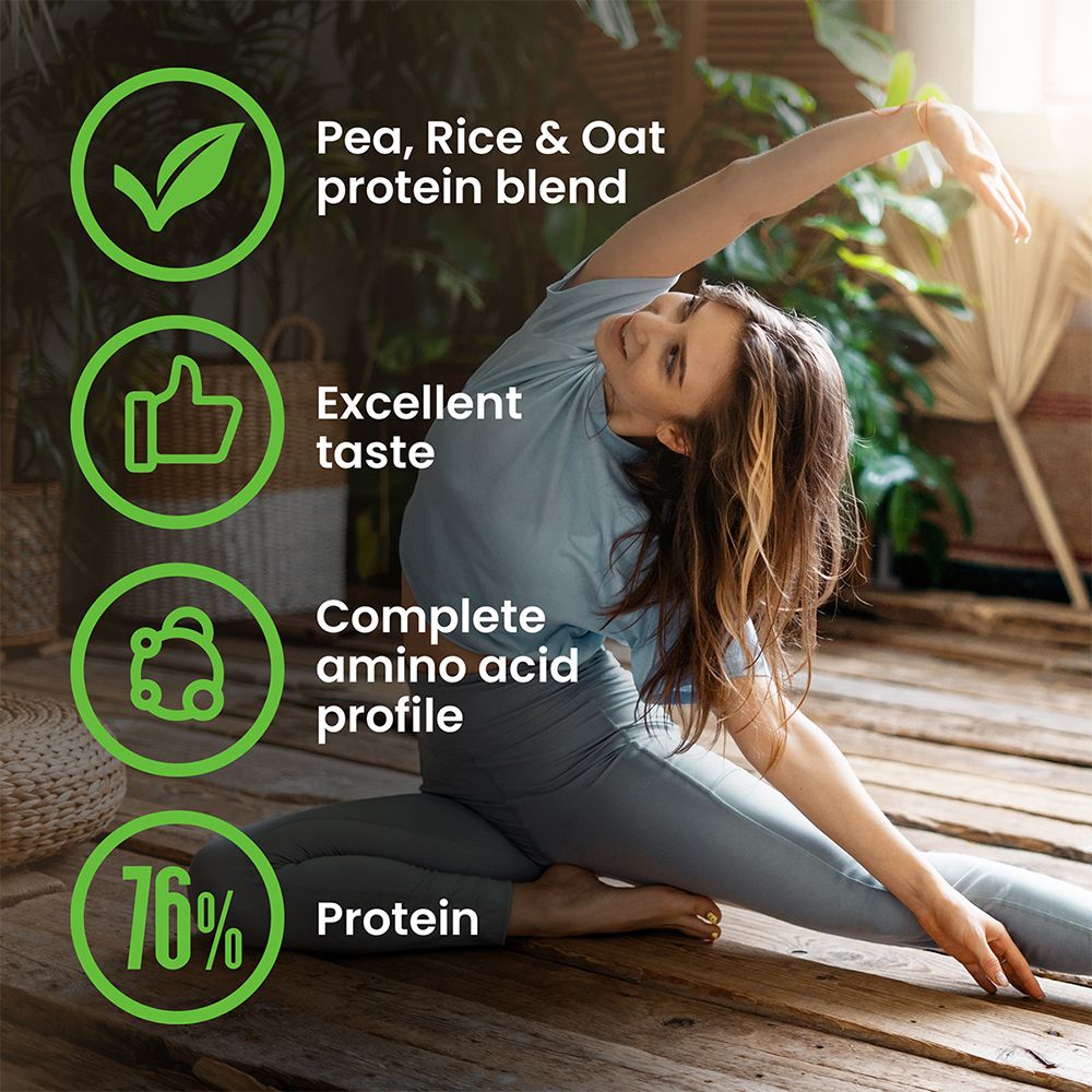 Vplab Vegan Protein Chocolate